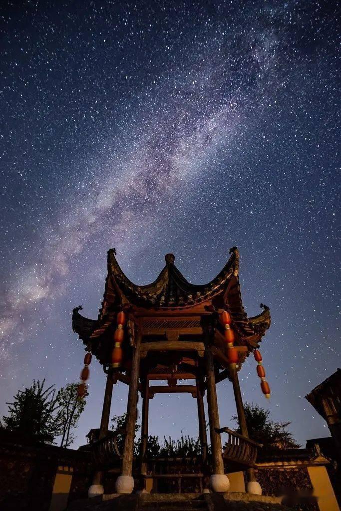 动物帮帮忙保卫家园